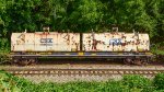 CSX 496029 Coil Steel Car